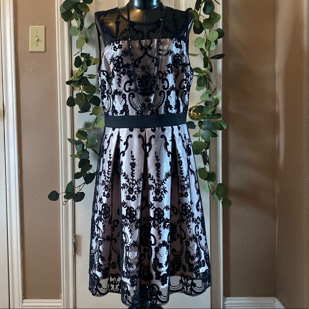 Sheer Laced Dress (A-line Dress)